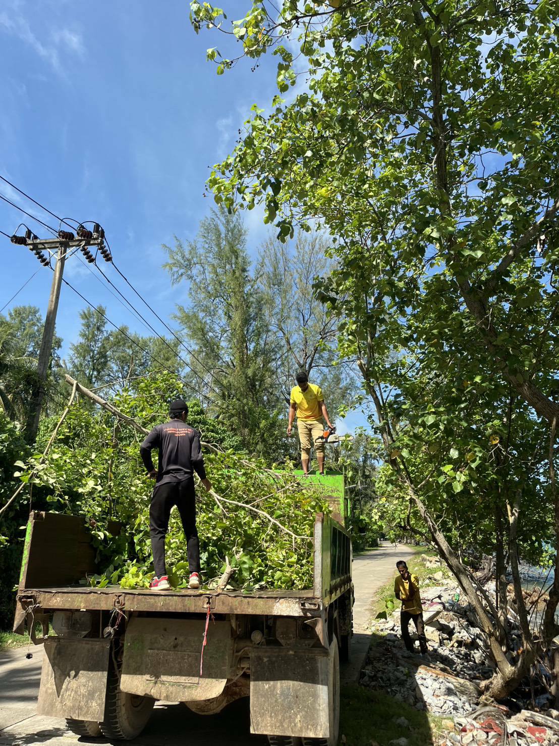 ทต.ศาลาด่าน ตัดแต่งต้นไม้ข้างทางถนนเส้นทางไปหาดคอกวาง ปรับภูมิทัศน์ ป้องกันสาธารณภัย เพื่อประชาชนสัญจรผ่านได้อย่างปลอดภัย