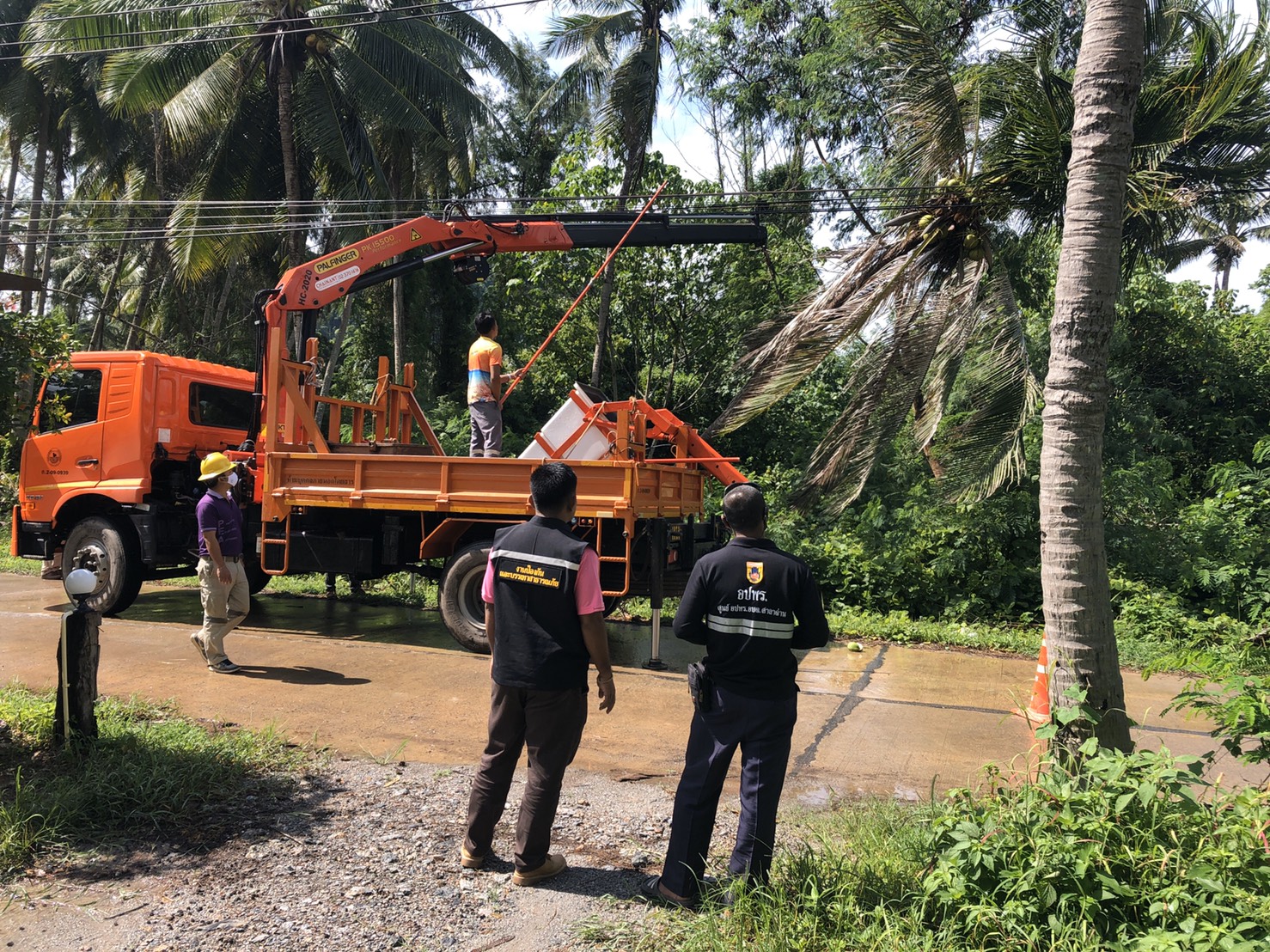 เทศบาลตำบลศาลาด่าน ร่วมกับ การไฟฟ้าส่วนภูมิภาคอำเภอเกาะลันตา ร่วมดำเนินการแก้ไขปัญหาเหตุการณ์ต้นมะพร้าวล้มทับสายไฟฟ้าบริเวณหน้าร้านคอกวางซีฟู๊ด ถนนเส้นทางไปหาดคอกวาง